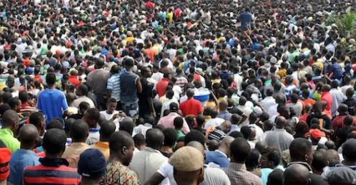 The population database needs to be Digitalized