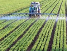  Implementing more resilient, year-round farming solutions