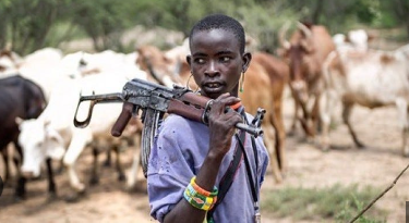 The Alarming Rise of Fulani Militias in the South and the Inaction of Southern Leaders