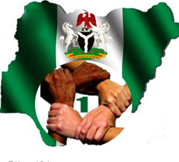 The Undefined System of Government in Nigeria: A Call for True Federalism