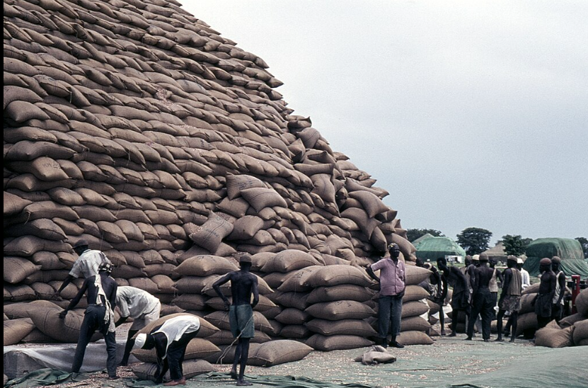 The Hard Way is the Only Way for Sustainable Economic Recovery in Nigeria
